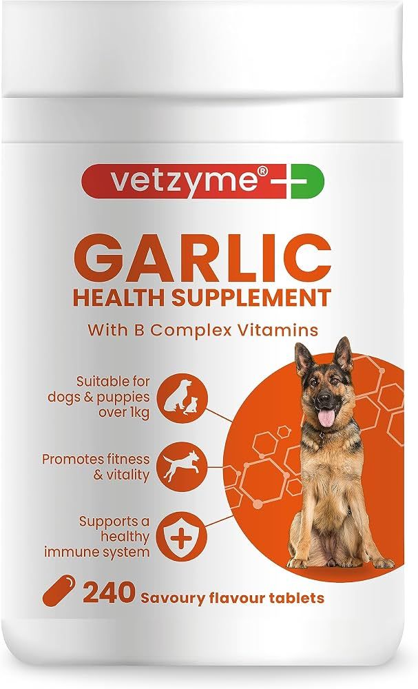 Vetzyme Garlic Tabs 240'S Garlic with B complex